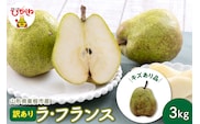 【令和7年産 先行予約】山形 ラ・フランス 家庭用（訳あり）3kg 山形県 東根市 hi069-011-1