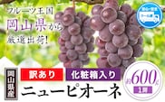 【先行予約】岡山県産 ニューピオーネ 約600g 1房 葡萄 果物 秋旬 訳あり 優品 厳選出荷 スイーツ フルーツ デザート 岡山県矢掛町《2025年9月上旬～11月上旬頃に出荷予定(土日祝除く)》数量限定---ofn_cwnp_ad911_25_10000_1---