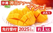 【先行受付】【2025年発送】神谷ファームのマンゴー（訳あり）約1Kg - 先行予約 沖縄県産 産地直送 南国フルーツ 旬の味覚 季節の果物 ご自宅用 訳アリ 沖縄マンゴー 沖縄県 八重瀬町